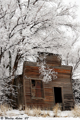 Winter Cabin?