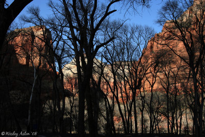 Zion Silhouette 