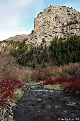 Provo River