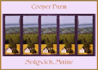 Cooper Farm Stereogram