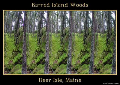 g3/38/251038/3/58163872.woodsstereo2aadone5x7.jpg