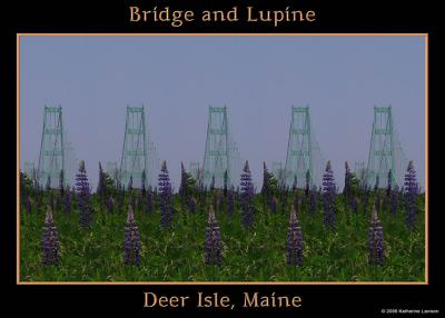 Bridge and Lupine