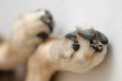 IMG_0194.JPG