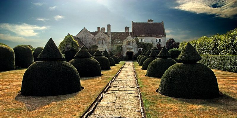 Topiary, Lytes Cary Manor (11151)
