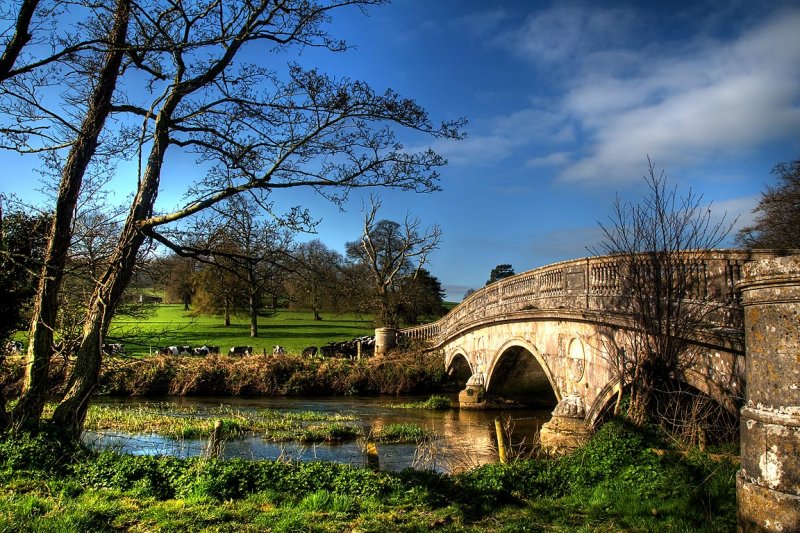 Classic bridge on the Frome, Dorset (3287)