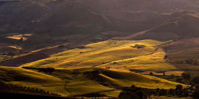 Golden fields, south of Ronda
