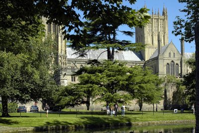 Trees and moat, Wells Cathedral