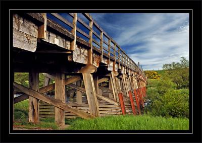 Bridge near Broomhill station