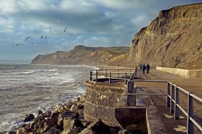 Gulls and walkers