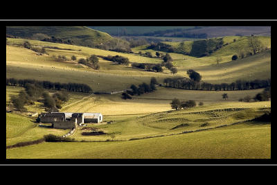 Farmland near Hardy's Monument