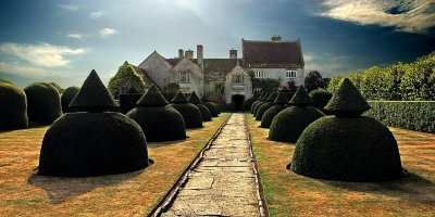 Topiary, Lytes Cary Manor (11050)