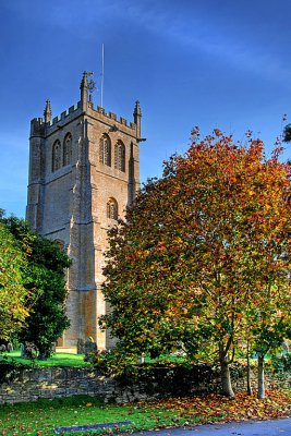 All Saints tower and tree, Martock