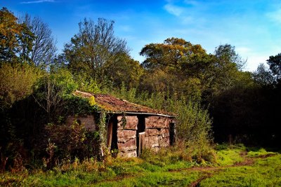 Old shed revisited