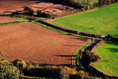 Brown field and barn, South Cadbury