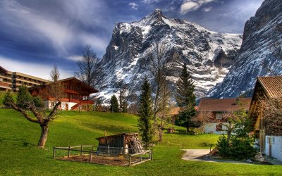 Wood shed and fir trees, Grindelwald (5700)