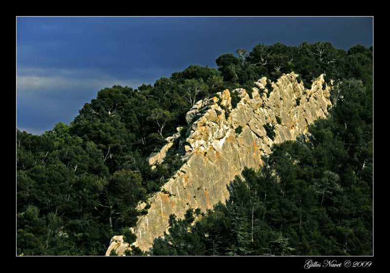 Paysage de Provence