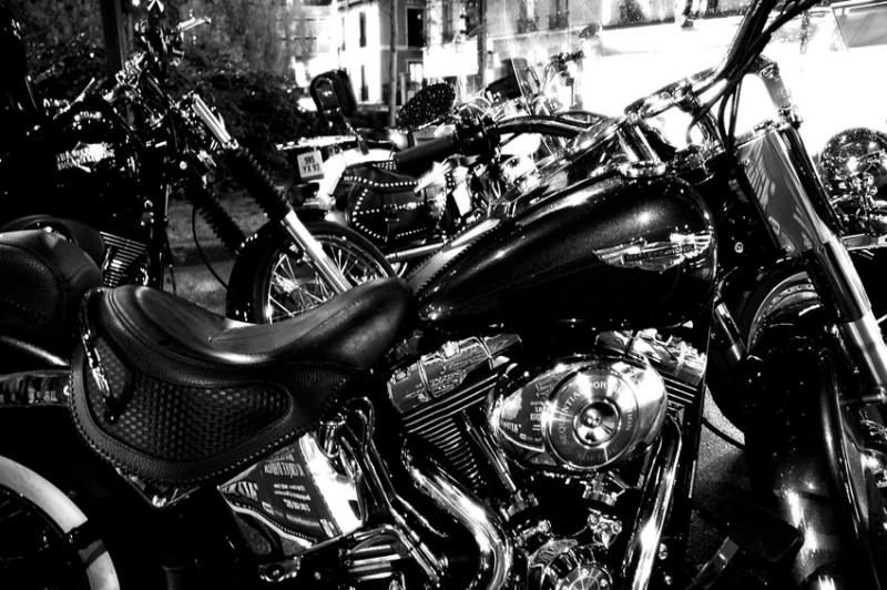 05/12/05  - Harley D