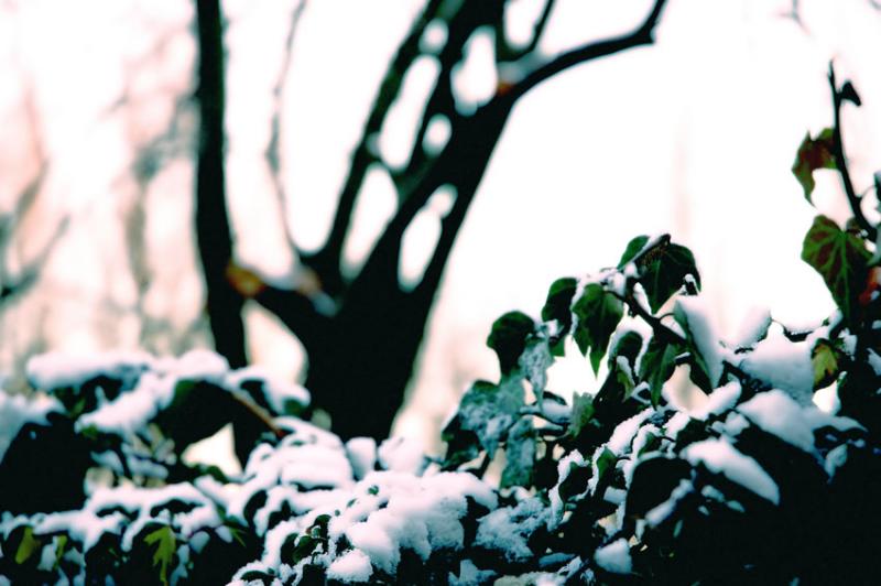 03/03/06 - Snow party