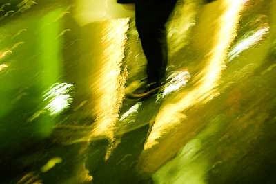 g3/38/303238/3/120762377.WdFM4Cwz.jpg