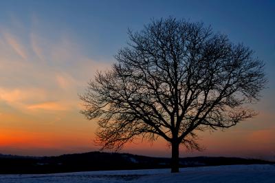 Winter Sunset Haverhill, Massachusetts