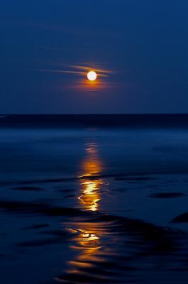 Ogunquit Maine moonrise.jpg