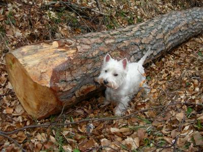 On joue à cache-cache ?