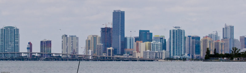 Miami Skyline from Crandon Barrier Islaned