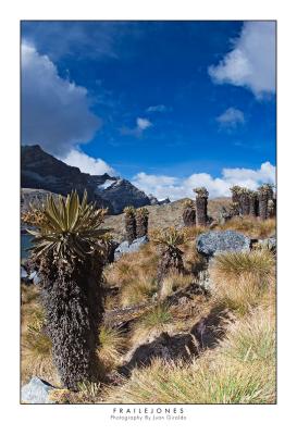 Sierra Nevada del Cocuy