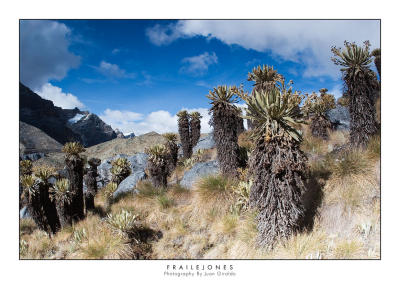 Sierra Nevada del Cocuy