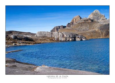 _MG_6259.jpg