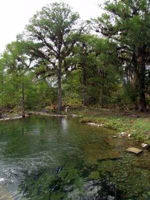 Rio Sabinas Dry Season