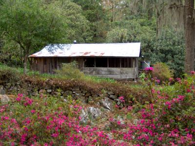 Cabin in the Forest el Cielo