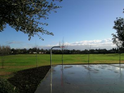 After Rain at the Park