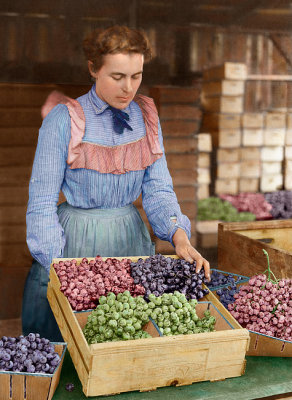 E - 2008 Grape_Lady.jpg