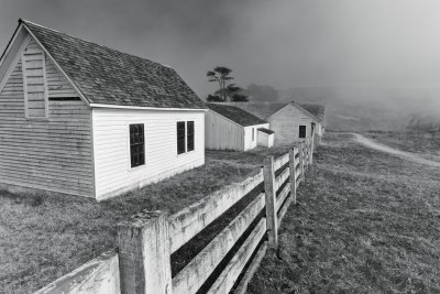 Fence Line