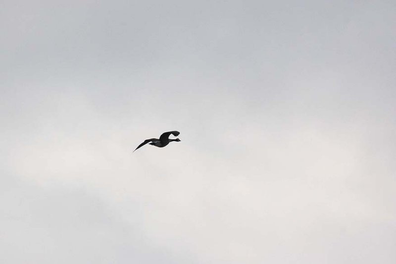 IMG_9995.jpg