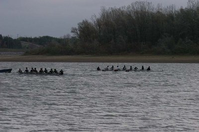 IMG_0429.jpg