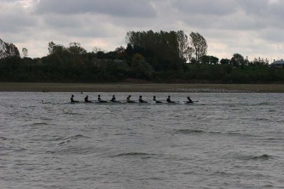 IMG_0509.jpg