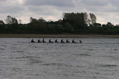 IMG_0511.jpg