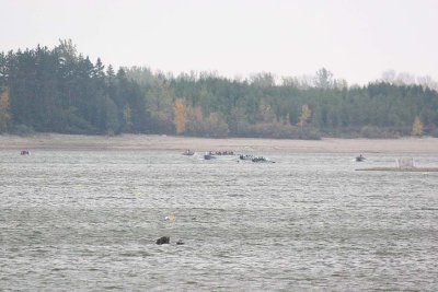 IMG_9822.jpg