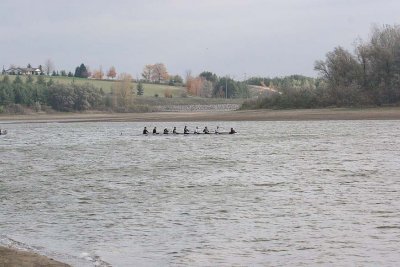 IMG_9910.jpg