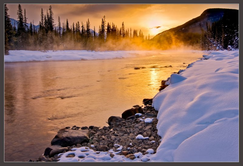 Golden Glow