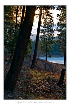 Early Morning Above The Lake