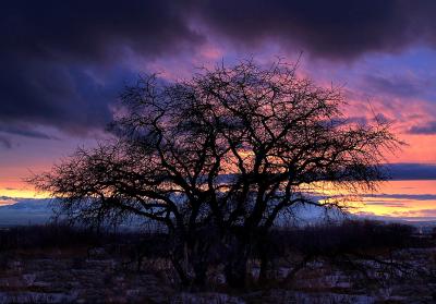 109568216_3e4195c073_o-edited.jpg