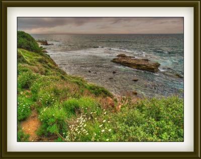 la jolla beach8.jpg