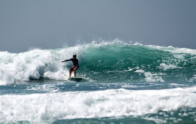 surfer n board 4.jpg