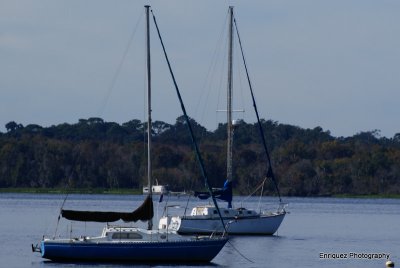 from the East Palatka side, three  photos.