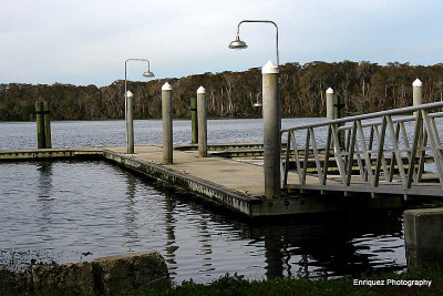 FLOATING DOCK IN WELAKA, FL.