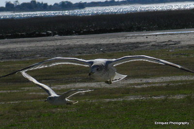 Formation flying