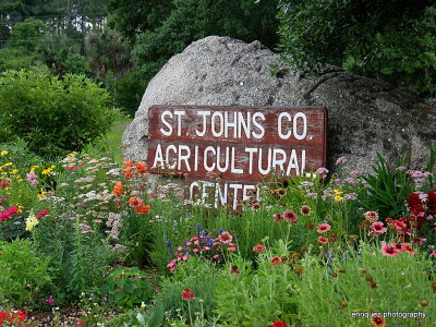 HOME OF THE ARBORETUM